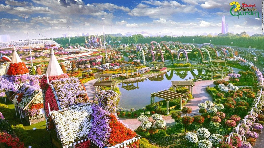 65[-]triệu[-]bông[-]hoa[-]rực[-]rỡ[-]giữa[-]Dubai[-]khô[-]cằn